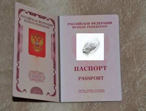 прописка в Удомле